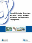 Small Modular Reactors Nuclear Energy Market Potential for Near-term Deployment /