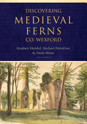 Discovering medieval Ferns, County Wexford /