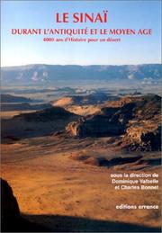 Le Sinaï durant l'antiquité et le Moyen-Age : 4000 ans d'histoire pour un désert : actes du colloque "Sinaï" qui s'est tenu à l'UNESCO du 19 au 21 septembre 1997 /