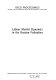 Labour market dynamics in the Russian Federation /