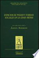 Espacios de poder y formas sociales en la Edad Media : estudios dedicados a Ángel Barrios /
