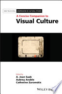 A concise companion to visual culture /