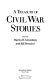 A treasury of Civil War stories /