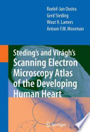 Steding's and  Virágh's scanning electron microscopy atlas of the developing human heart