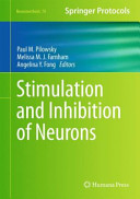 Stimulation and inhibition of neurons /
