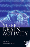 Sleep and brain activity