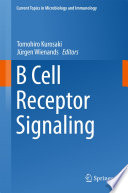 B Cell Receptor Signaling /
