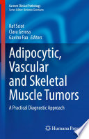 Adipocytic, Vascular and Skeletal Muscle Tumors : A Practical Diagnostic Approach /