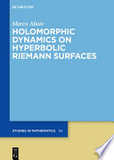 Holomorphic Dynamics on Hyperbolic Riemann Surfaces /