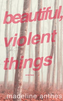 Beautiful, violent things : stories /