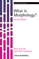 What is morphology? /