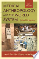 Medical anthropology and the world system : critical perspectives /