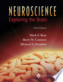 Neuroscience : exploring the brain