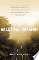 Beautiful dreamer : a novel /