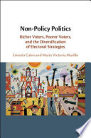 Non-policy politics : richer voters, poorer voters, and the diversification of electoral strategies /