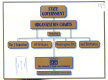 State government organization charts : featuring the 3 branches of 50 states, Washington, DC and territories /