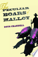 The Peculiar Boars of Malloy /