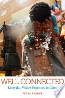 Well connected : everyday water practices in Cairo /