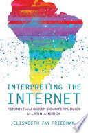Interpreting the Internet : Feminist and Queer Counterpublics in Latin America /