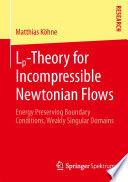 LP-theory for incompressible Newtonian flows energy preserving boundary conditions, weakly singular domains /