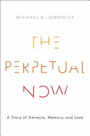 The perpetual now : a story of amnesia, memory, and love /