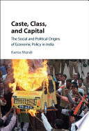 Caste, class and capital : the social and political origins of economic policy in India /