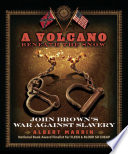 A volcano beneath the snow : John Brown's war against slavery /