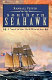 Southern seahawk : a novel of the Civil War at sea /