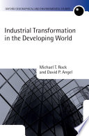 Industrial transformation in the developing world