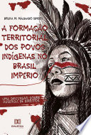 A formação territorial dos povos indígenas no Brasil Império : uma discussão sobre ausência de direitos /