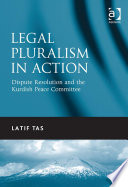 Legal pluralism in action : dispute resolution and the Kurdish peace committee /