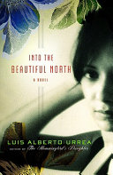 Into the beautiful North : a novel /