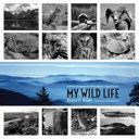 My wild life : a memoir of adventures within America's national parks /