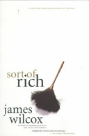 Sort of rich : a novel /